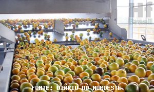 CITRUS/CEPEA: First acquisition proposals for 2018/19 start to be reported