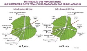 Custo de produção de uva niagara em SP