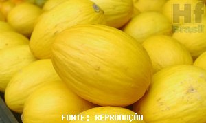 MELÃO/CEPEA: Com acúmulo de frutas, preços caem na Ceagesp