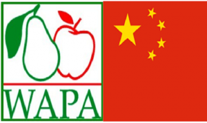 China torna-se novo membro da WAPA