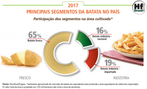 HORTIFRUTI/CEPEA: Especial Batata 2017