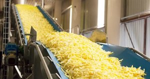 BATATA/CEPEA: Cresce produção de batata para processamento no BR