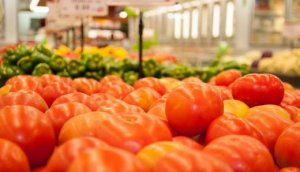 TOMATE/CEPEA: Ceagesp tem grande entrada de tomates nesta semana