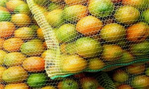 CITROS/CEPEA: Baixa qualidade reflete nos preços da pera em SP