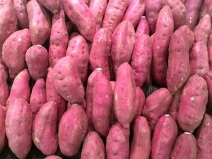 HORTIFRUTI/CEPEA: Características da batata doce no BR