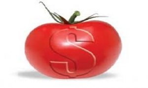 Tomate é comercializado a R$ 70 em Mogi Guaçu
