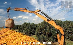 CITRUS/CEPEA: Replenishment of orange juice inventories depends on a large crop in 2018/19