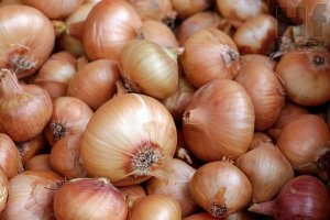 ONION/CEPEA: Prices may be better in 2017
