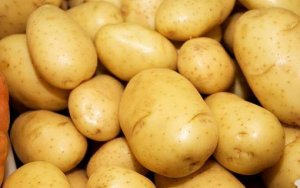 Produtividade alta é principal fator de excesso de oferta da batata