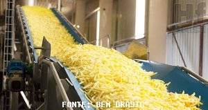 POTATO/CEPEA: Industrial production is increasing in BR