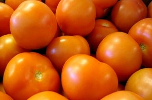 TOMATE/CEPEA: Frio e menor volume cultivado atenuam desvalorização do tomate