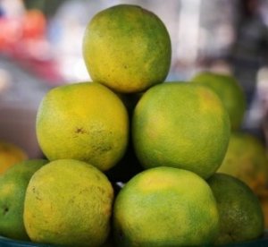 CITROS/CEPEA: Preços das frutas cítricas seguem em queda