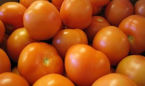 TOMATE/CEPEA: Carnaval deve desvalorizar ainda mais o tomate