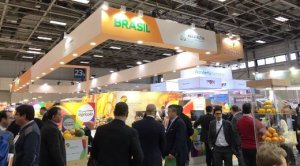 HORTIFRUTI/CEPEA: Empresas brasileiras marcam presença na Fruit Logistica
