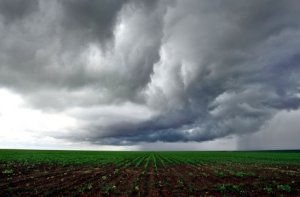 HORTIFRUTI/CEPEA: Como esteve o clima no País em 2017?