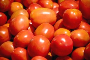 HORTIFRUTI/CEPEA: Quanto custa produzir tomate de indústria?