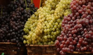 Frente fria pode impactar no mercado de uva