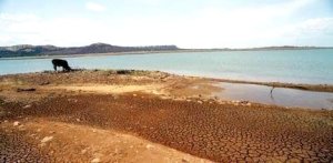 HORTIFRUTI/CEPEA: ANA prorroga suspensão da captação de água do São Francisco