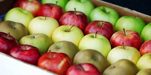 Importações de maçã mais que dobram e Chile ganha destaque