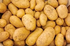 HORTIFRUTI/CEPEA: Custo de produção de batata no Sul de MG