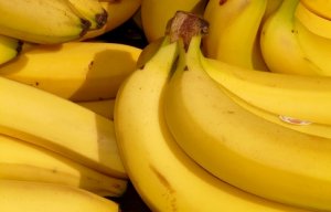 BANANA/CEPEA: Banana do Vale do Ribeira será incluída na merenda escolar de SP
