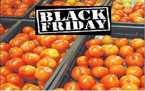 TOMATE/CEPEA: Black Friday do tomate!