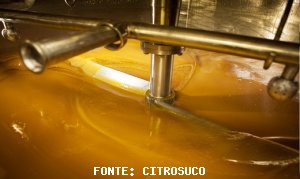 CITROS/CEPEA: CitrusBR indica estoques finais de 17/18 entre 200 e 300 mil t