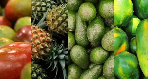 FRUTAS/CEPEA: exportaciones mundiales de frutas tropicales caen un 5% en 2022, según la FAO