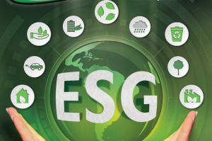 HORTIFRUTI/CEPEA: Como implementar práticas ESG no setor de HF?