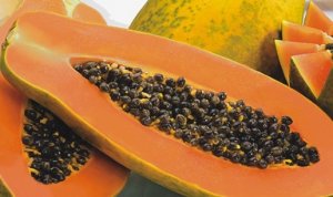 PAPAYA/CEPEA: Prices are falling in producing regions