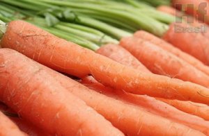 CARROT/CEPEA: Prices fell down, but profitability remains positive
