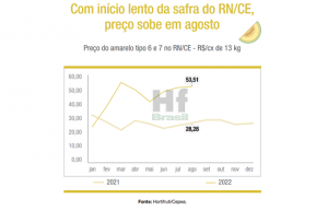 MELÃO/CEPEA: Com início lento da safra do RN/CE, preço sobe em agosto