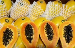 MAMÃO/CEPEA: Frutas de qualidade inferior são descartadas