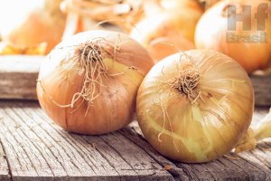 ONION/CEPEA: Better quality allowed an increase in prices