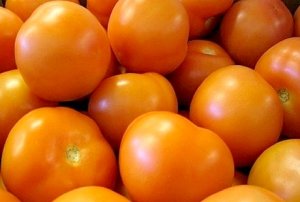 TOMATE/CEPEA: Tomaticultura começa a se recuperar em 2018