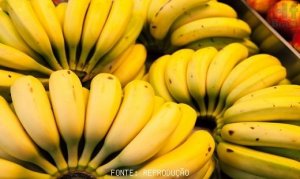 BANANA/CEPEA: Holidays affect Sales at Ceagesp