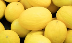 MELÃO/CEPEA: Vale envia mais fruta ao atacado e compensa escassez de oferta