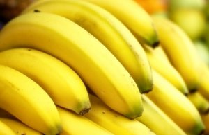 BANANA/CEPEA: Entrada de banana equatoriana é proibida no Brasil