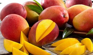 MANGO/CEPEA: Low demand and high supply weigh on prices