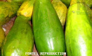 PAPAYA/CEPEA: Weather impacts papaya's quality