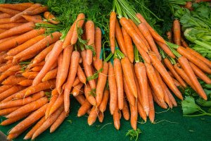 CENOURA/CEPEA: Chuvas continuam impedindo colheita de cenouras no RS
