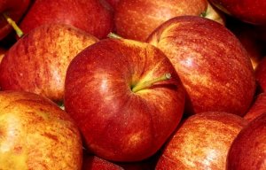 MAÇÃ/CEPEA: Balança comercial encerra 2019 tão vermelha quanto a maçã