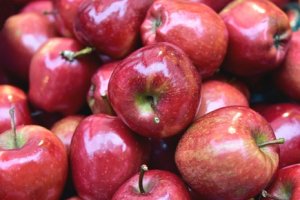 HORTIFRUTI/CEPEA: Com maior colheita e mercado doméstico fraco, produtor de maçã foca nas exportações