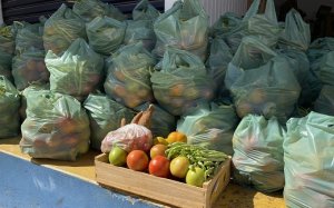 HORTIFRUTI/CEPEA: Programa municipal auxilia agricultores familiares e doa cestas de frutas e hortaliças