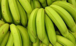 BANANA/CEPEA: 2019 is registering higher prices