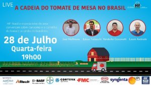 HORTIFRUTI/CEPEA: Live - A cadeia do tomate de mesa no Brasil