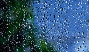 HORTIFRUTI/CEPEA: Impactos das chuvas no Sudeste