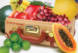 HORTIFRUTI/CEPEA: Especial Frutas 2020 - Exportações