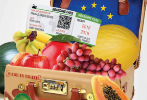 Acordo Mercosul - UE: possíveis impactos no setor de frutas e hortaliças