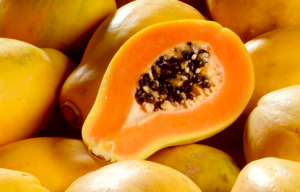 PAPAYA/CEPEA: Havaí prices rise, reaching record for June